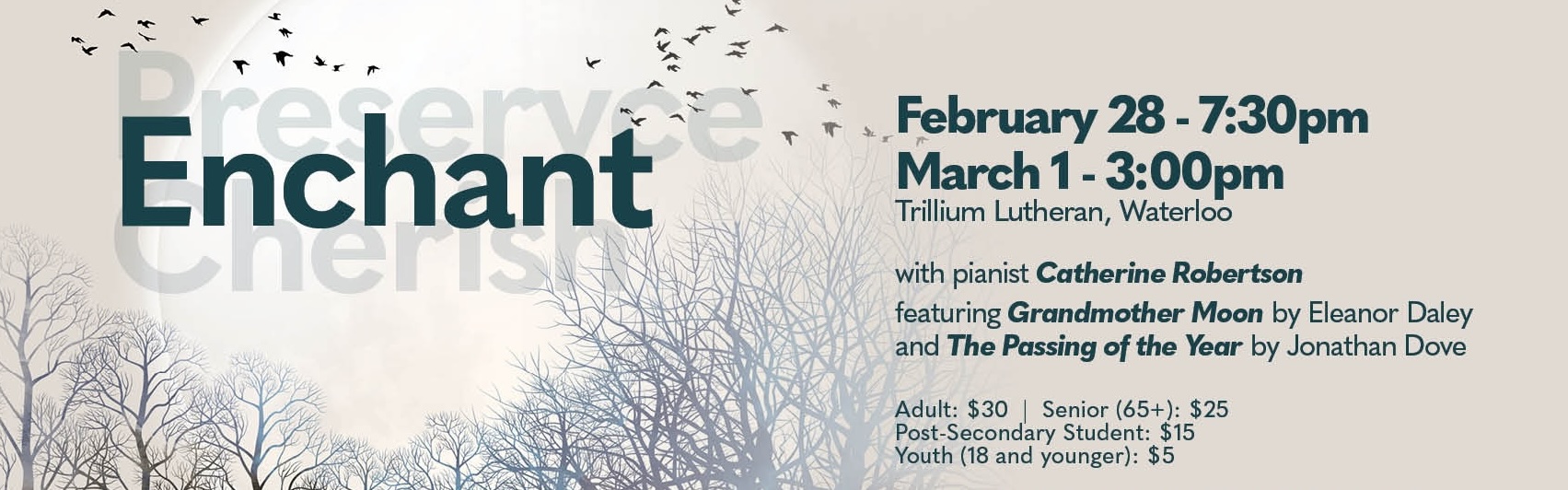 FacebookCover_Concert2 copy